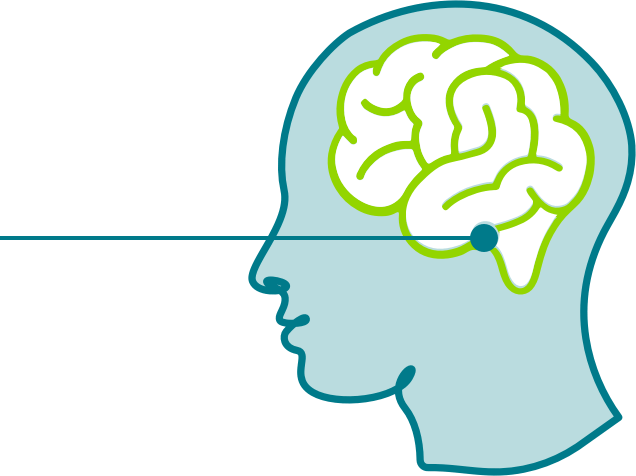 Hypothalamus in Brain