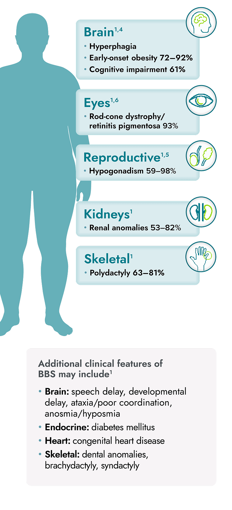Body diagram identifying BBS symptoms in the brain, kidney, eyes, heart, reproductive, endocrine, and skeletal systems