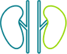 Kidneys icon